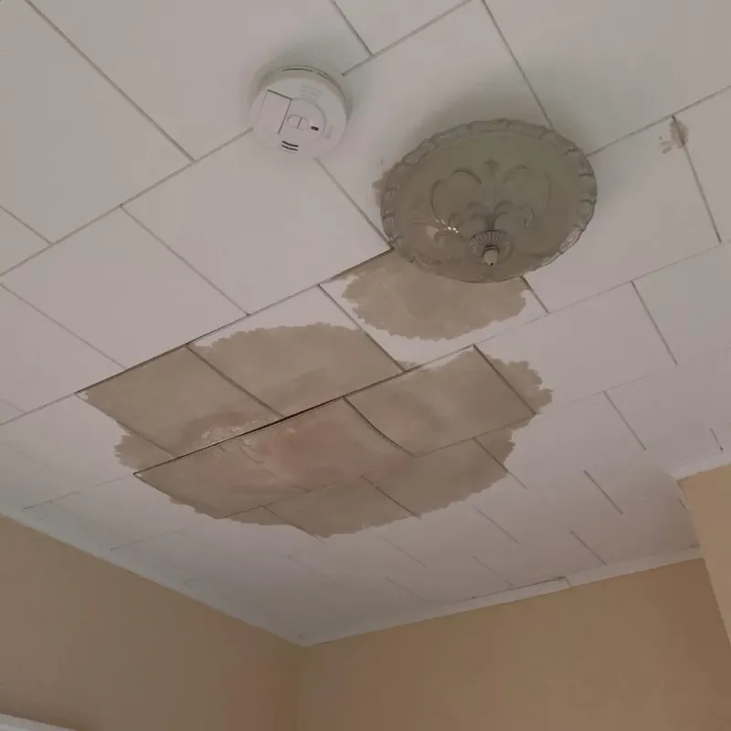 Ceiling Water Damage Repair in Forsyth, MT