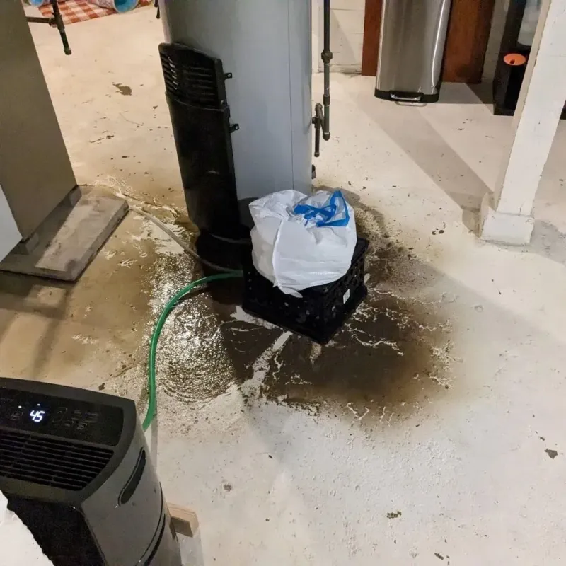 Sewage Backup Cleanup Service in Forsyth, MT